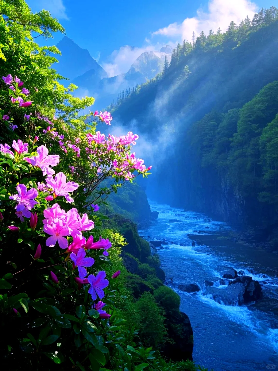 这个地方真的美到窒息❗️❗️❗️