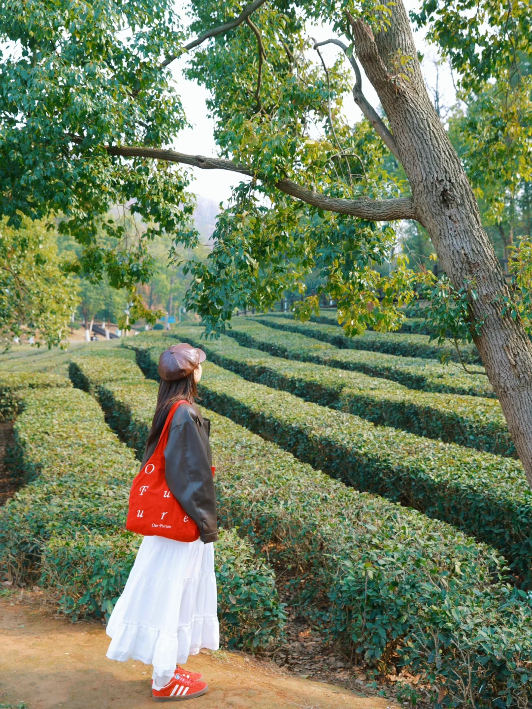 别怀疑！这些真的是武汉！一日游徒步路线㊙️