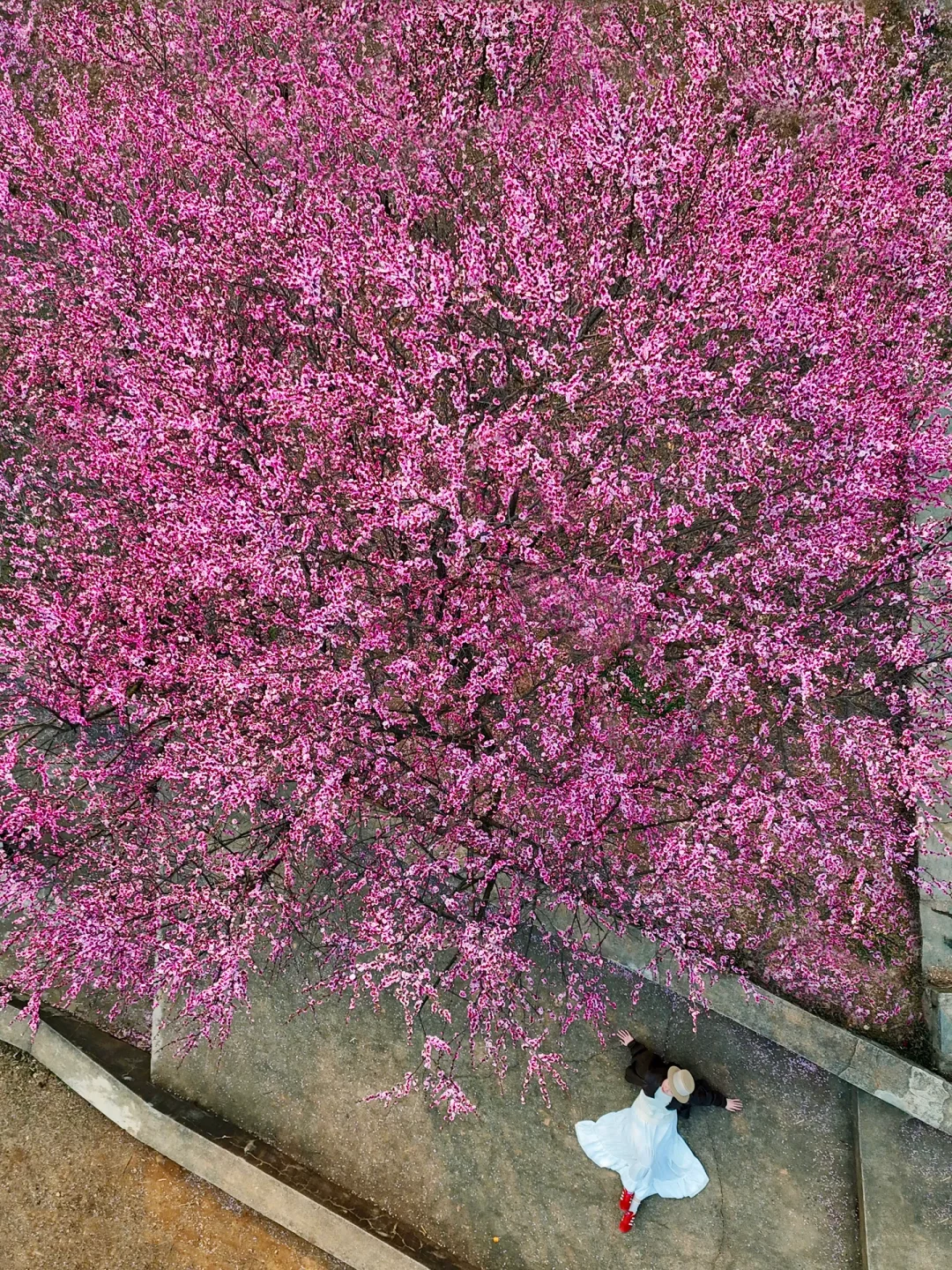 别怀疑！这些真的是武汉！一日游徒步路线㊙️