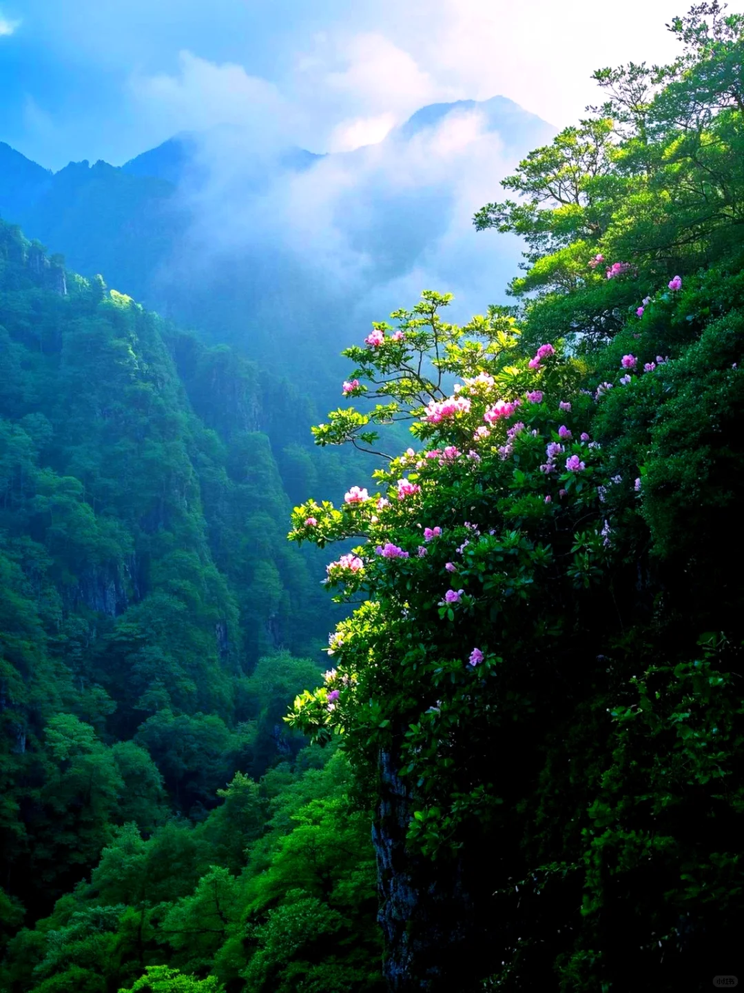 这个地方真的美到窒息❗️❗️❗️