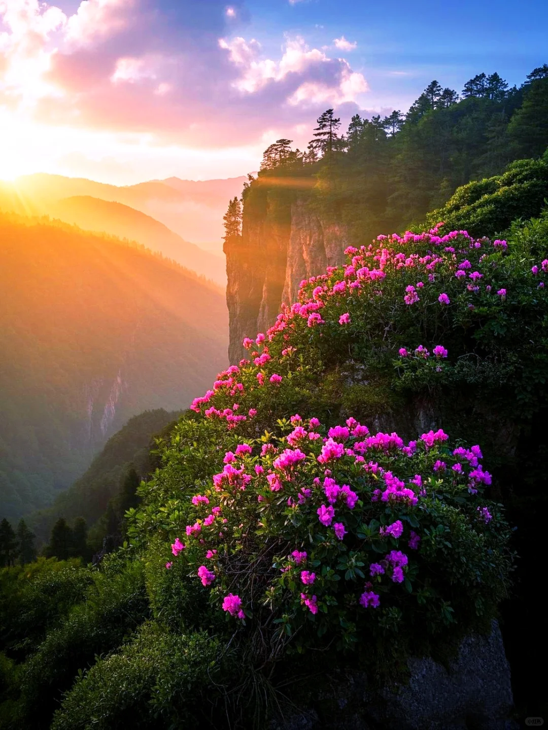 这个地方真的美到窒息❗️❗️❗️