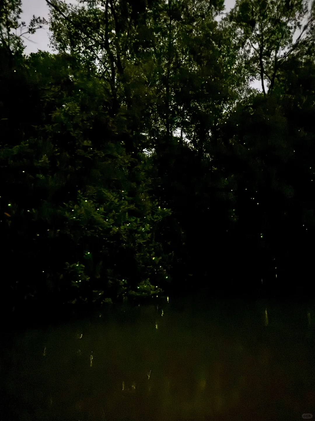 🌴亚庇第一天 🌿