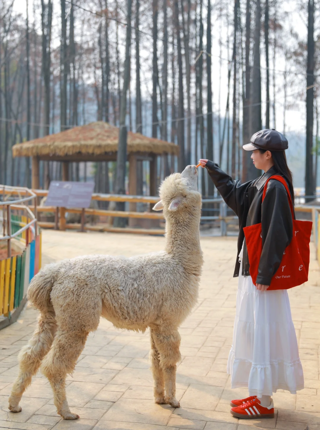 别怀疑！这些真的是武汉！一日游徒步路线㊙️