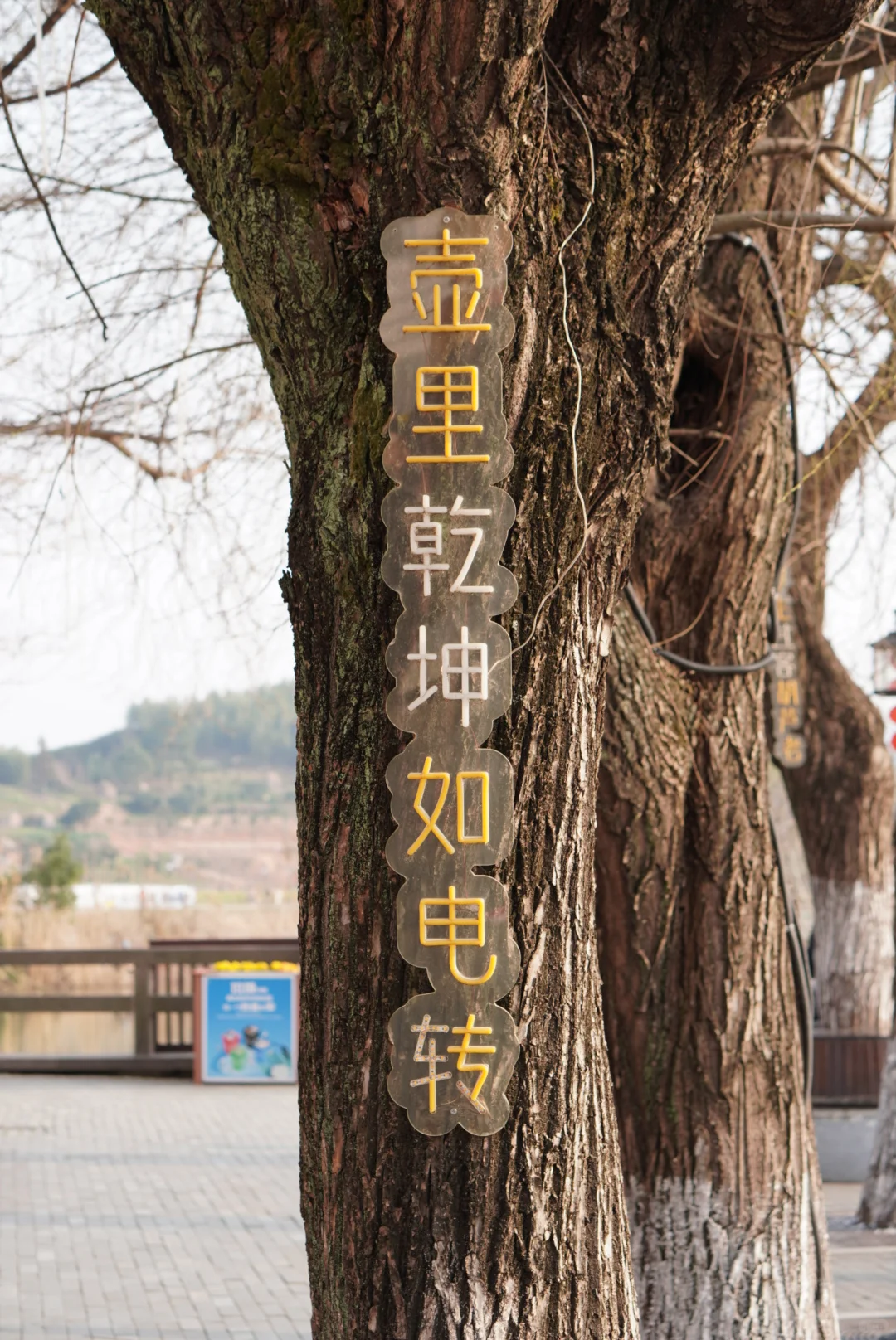 宁波慈溪山顶栲栳山VS山脚鹤鸣古镇