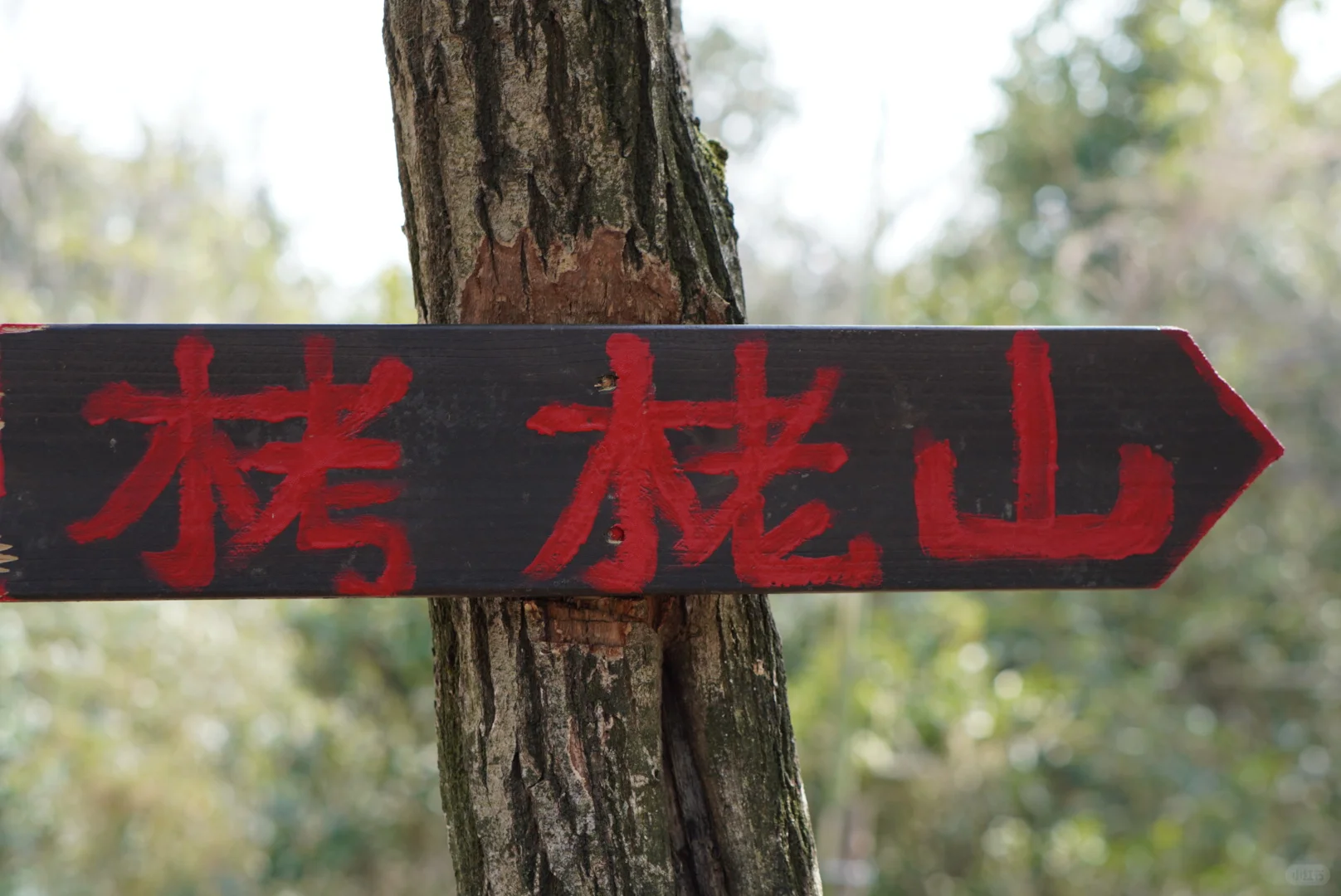 宁波慈溪山顶栲栳山VS山脚鹤鸣古镇