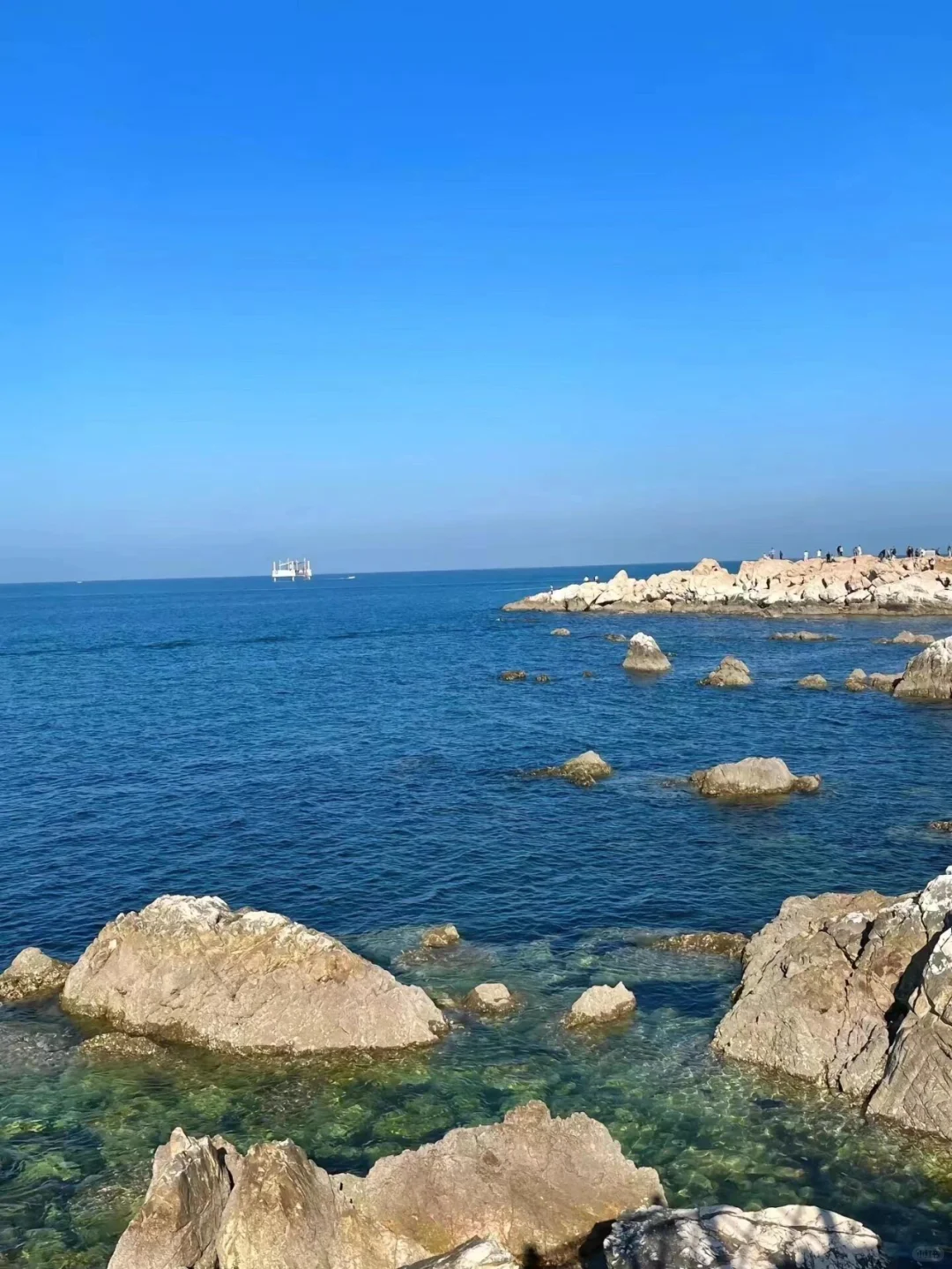 🌊 烟台养马岛 | 4月份一定要来！！！