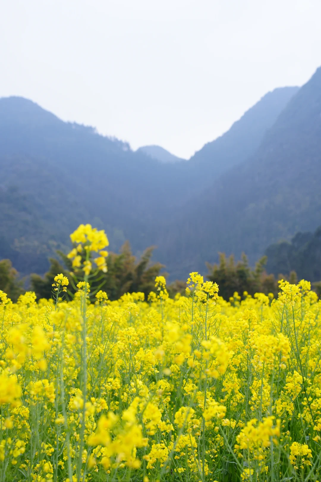 贵州自驾游🚗之万峰林