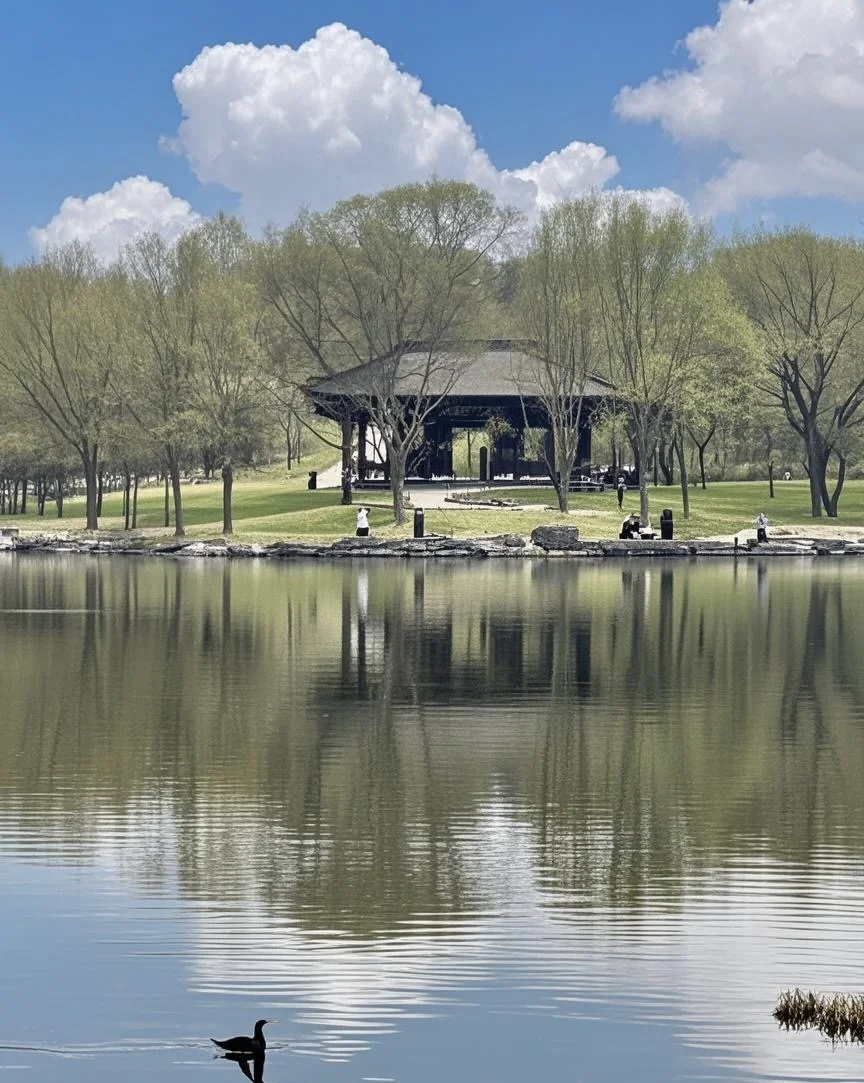 今天西流湖打卡游玩的人太多了，人山人海！
