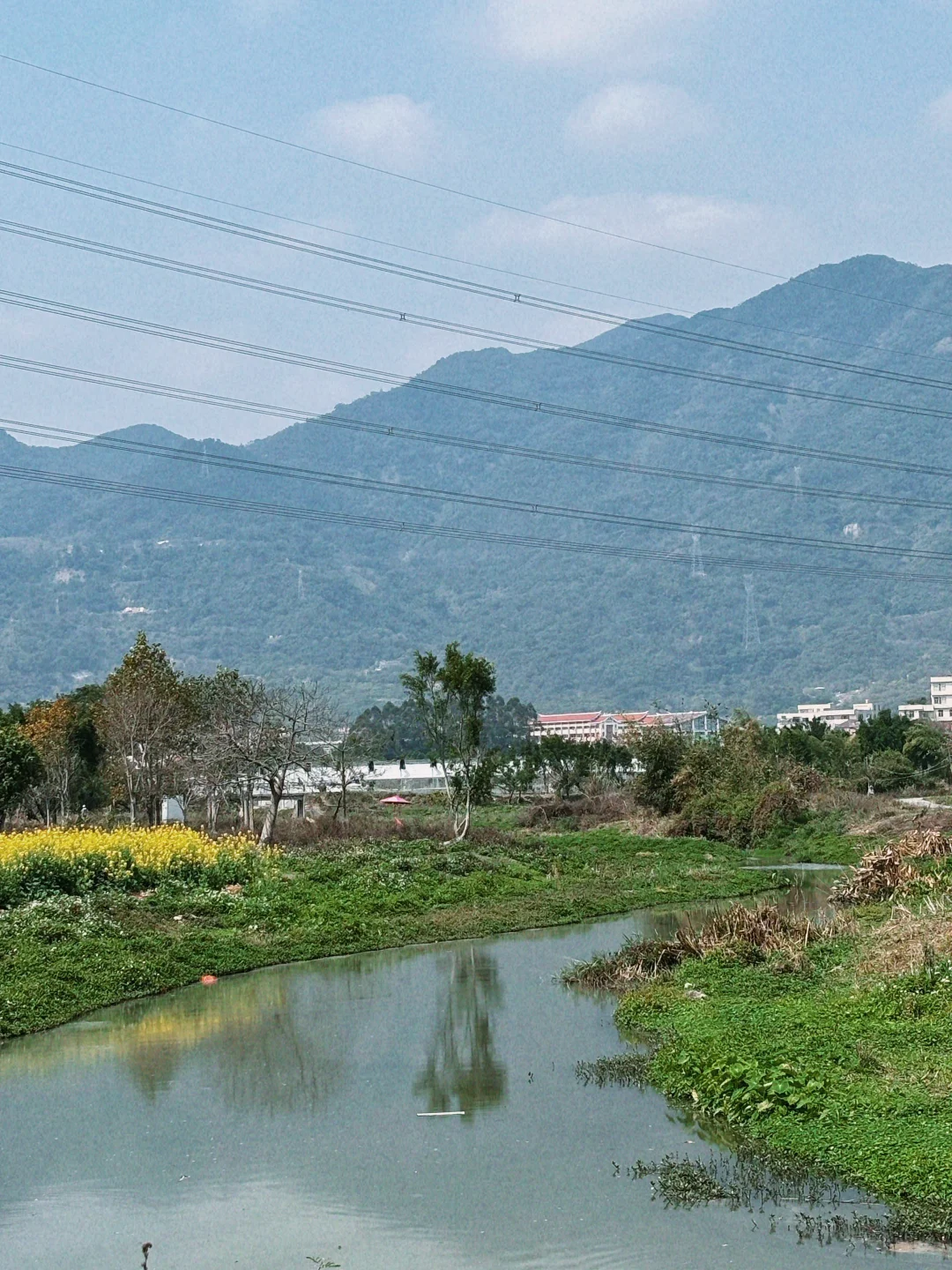 城市里的生态田园