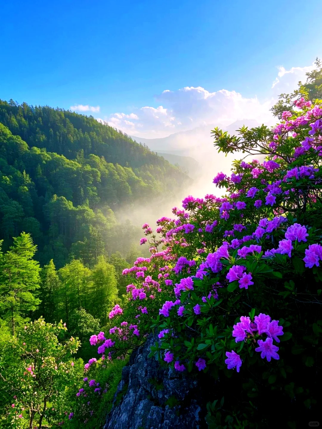 这个地方真的美到窒息❗️❗️❗️