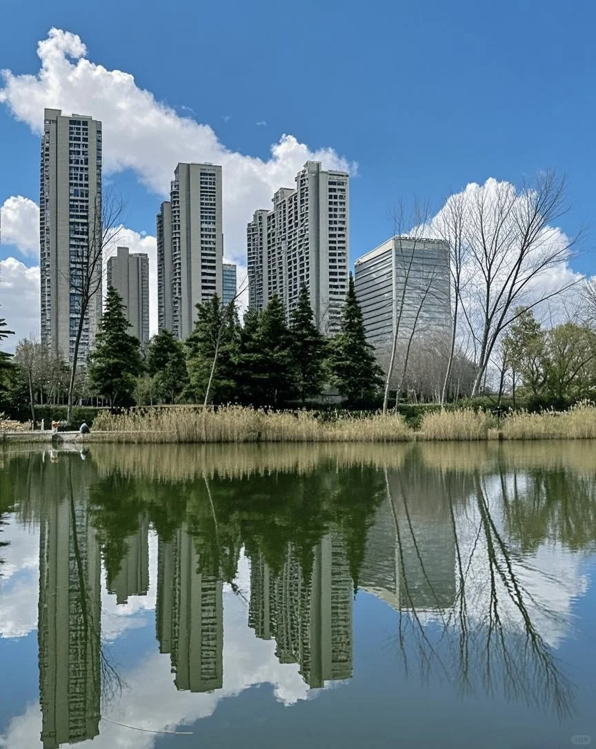 今天西流湖打卡游玩的人太多了，人山人海！