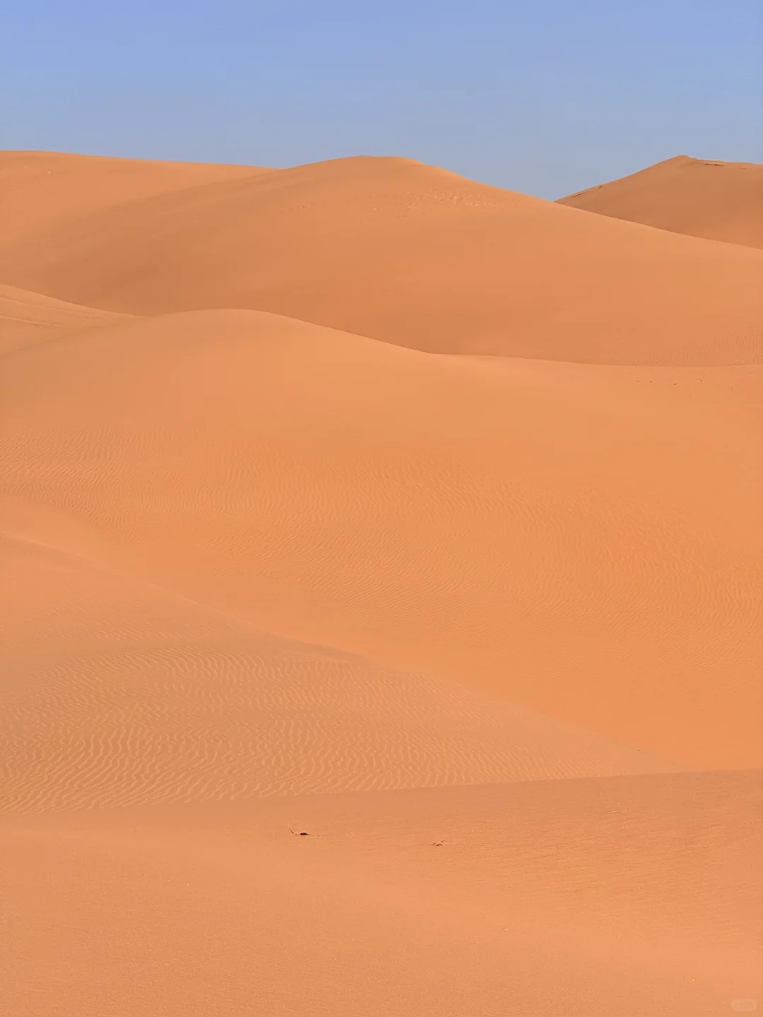 今年为止，我最喜欢的小众冷门城市出现了！