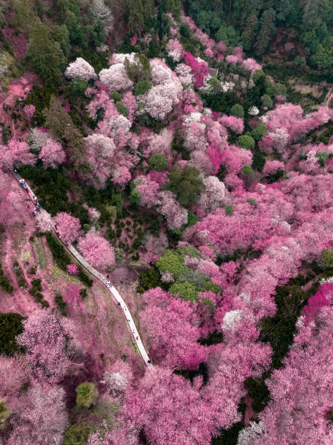 原来陶渊明笔下的《桃花源记》是真实存在的！！