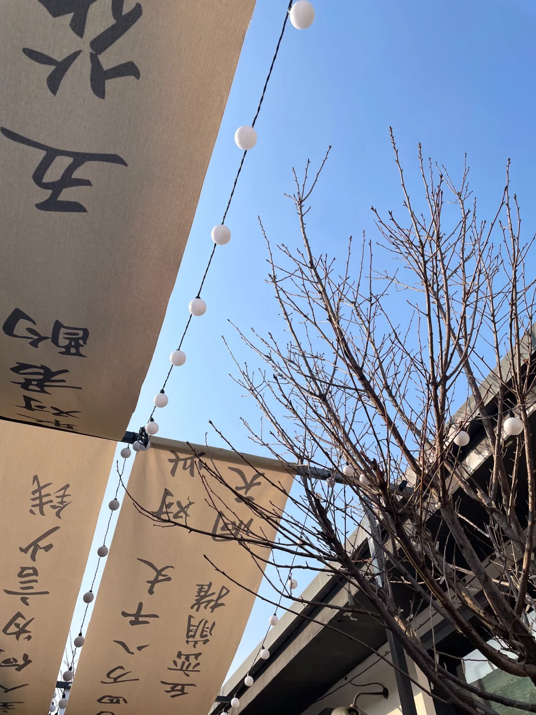 来淄博要避雷这个景区？！