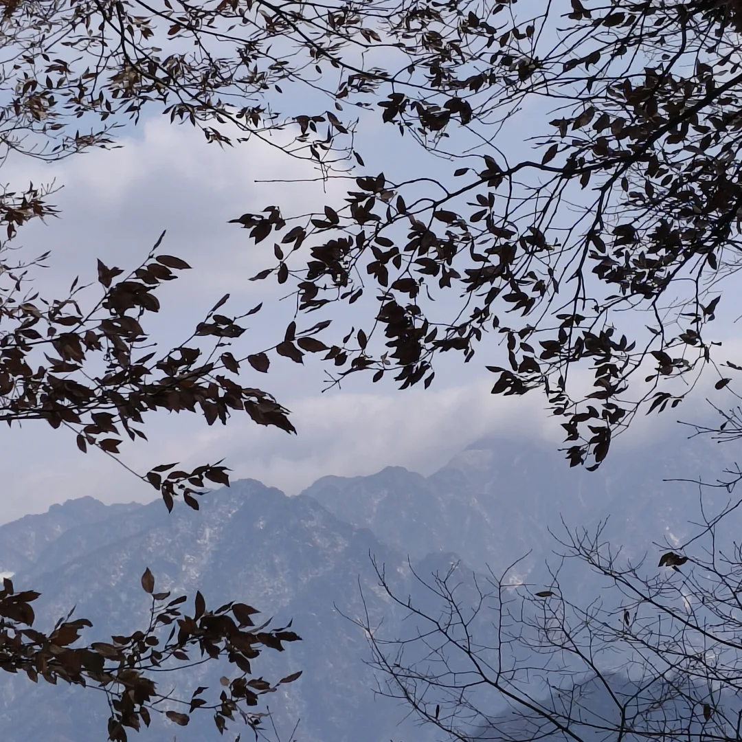 小小南五台，拿下✌