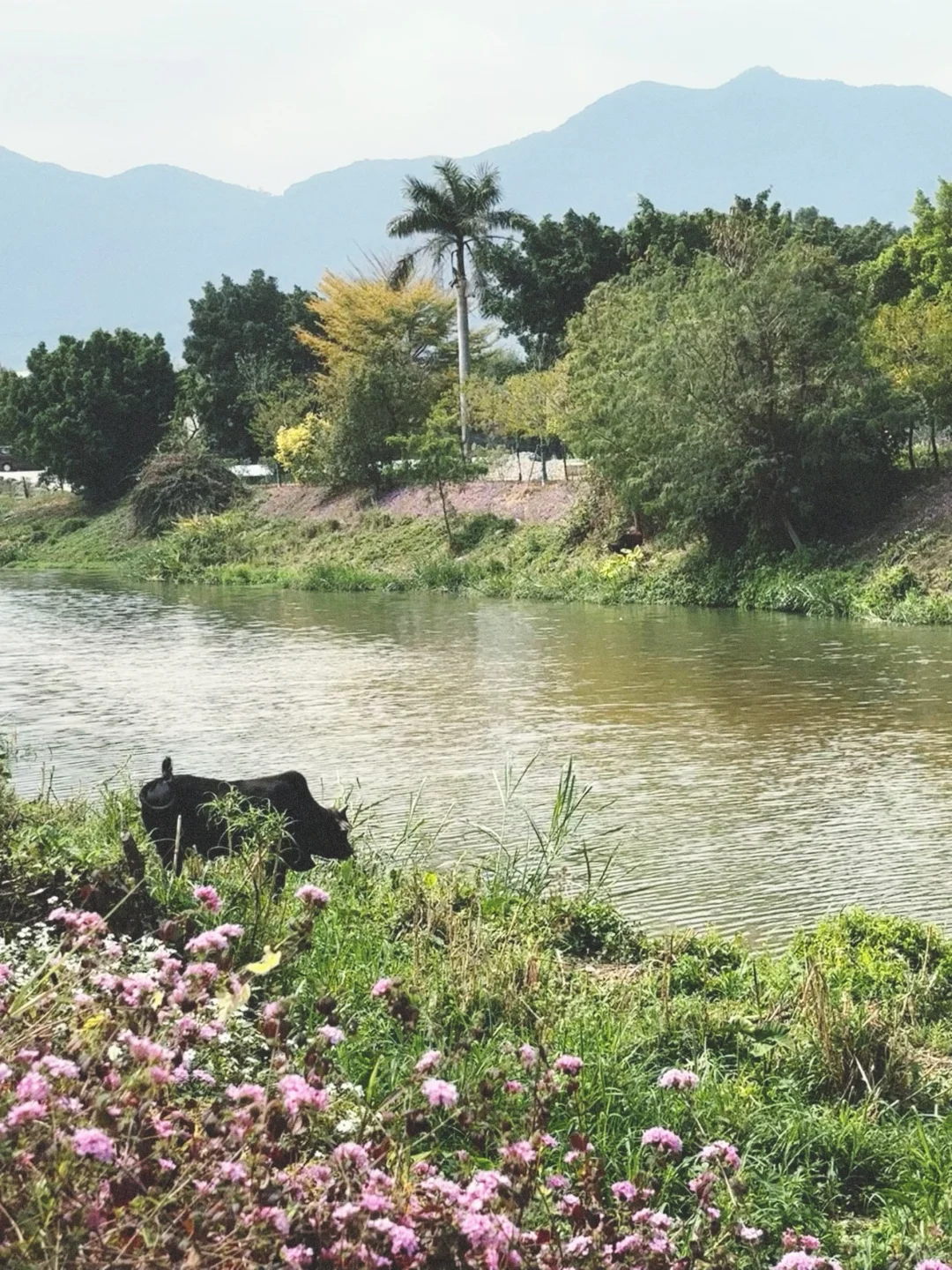 城市里的生态田园