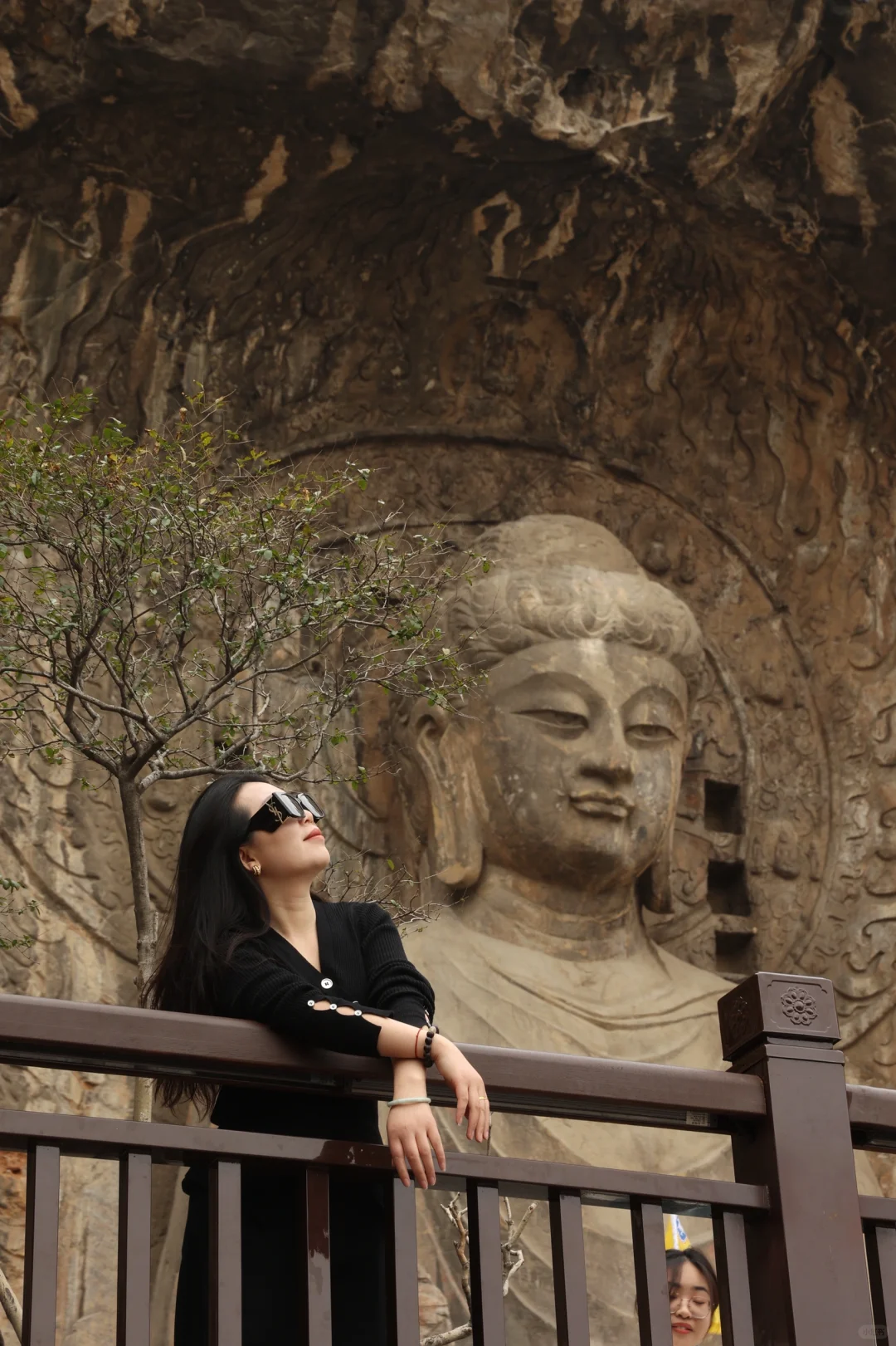 人道洛阳花似锦 偏我来时不逢春