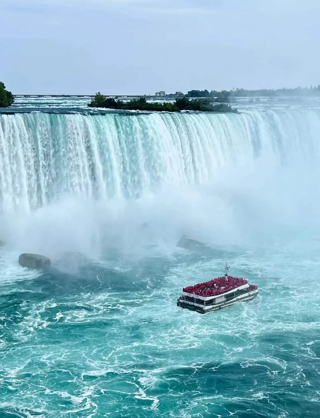 一刀横跳美加国界