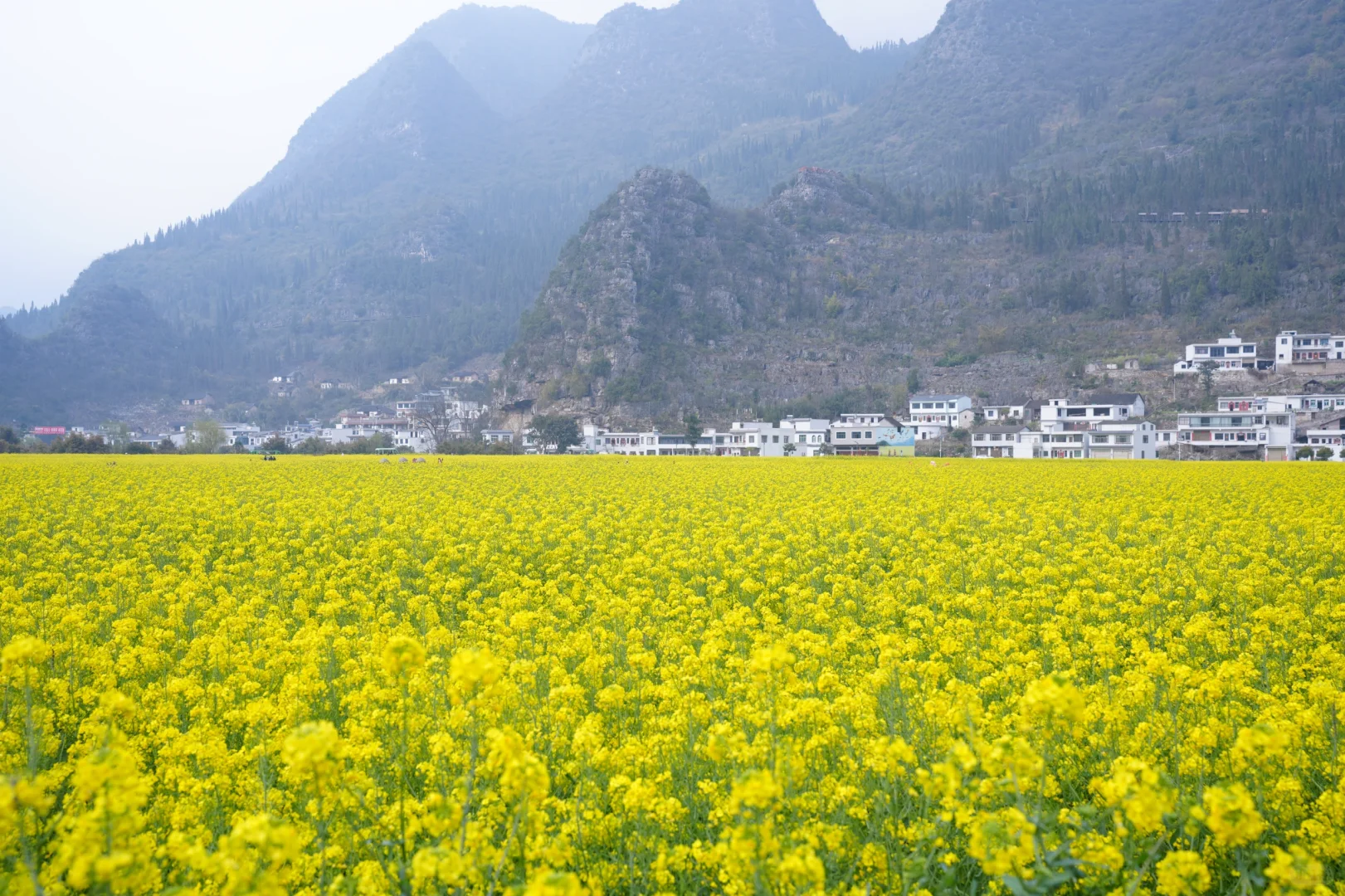 贵州自驾游🚗之万峰林