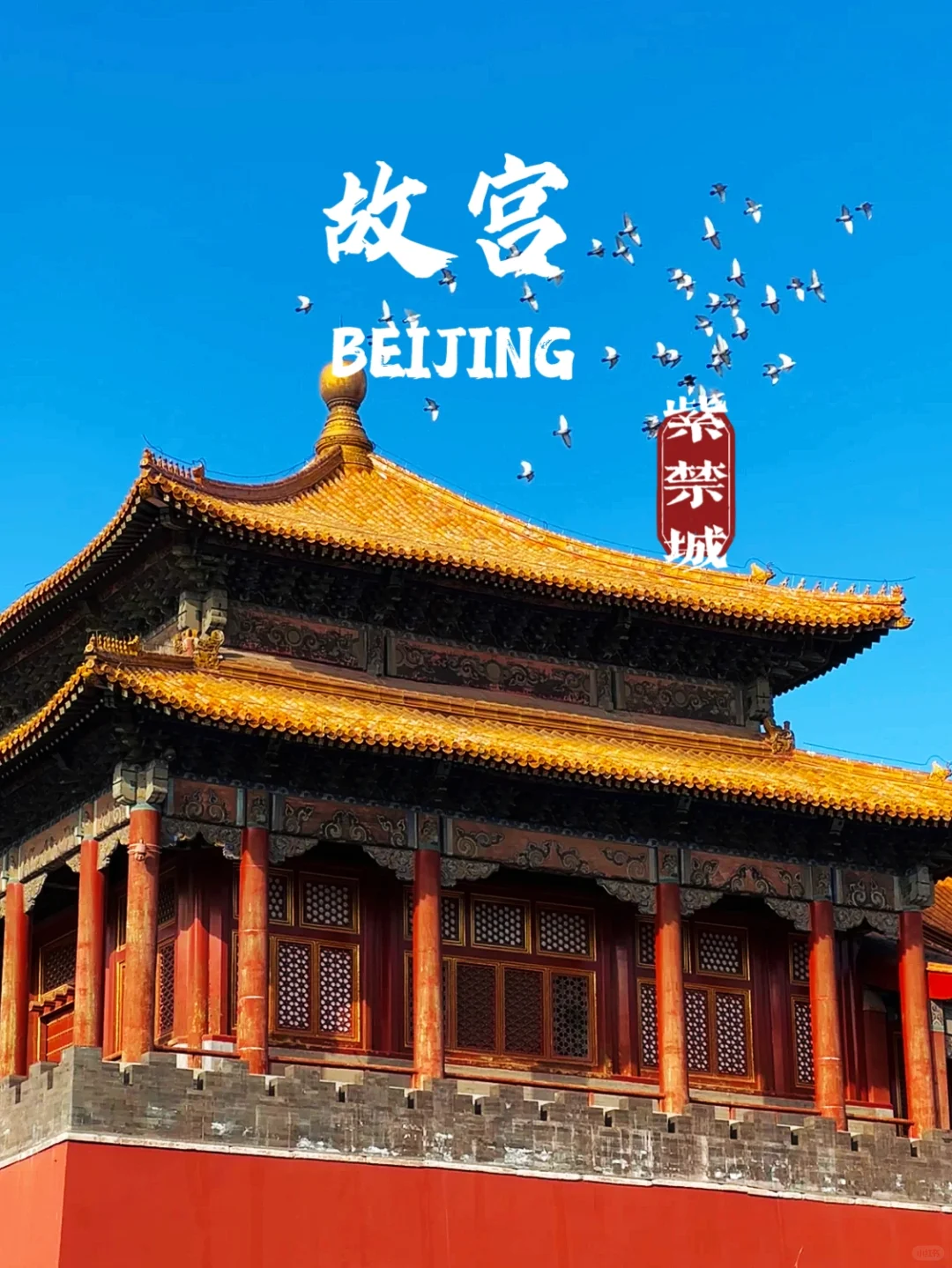 北京故宫旅游攻略:穿越时空的皇家之旅