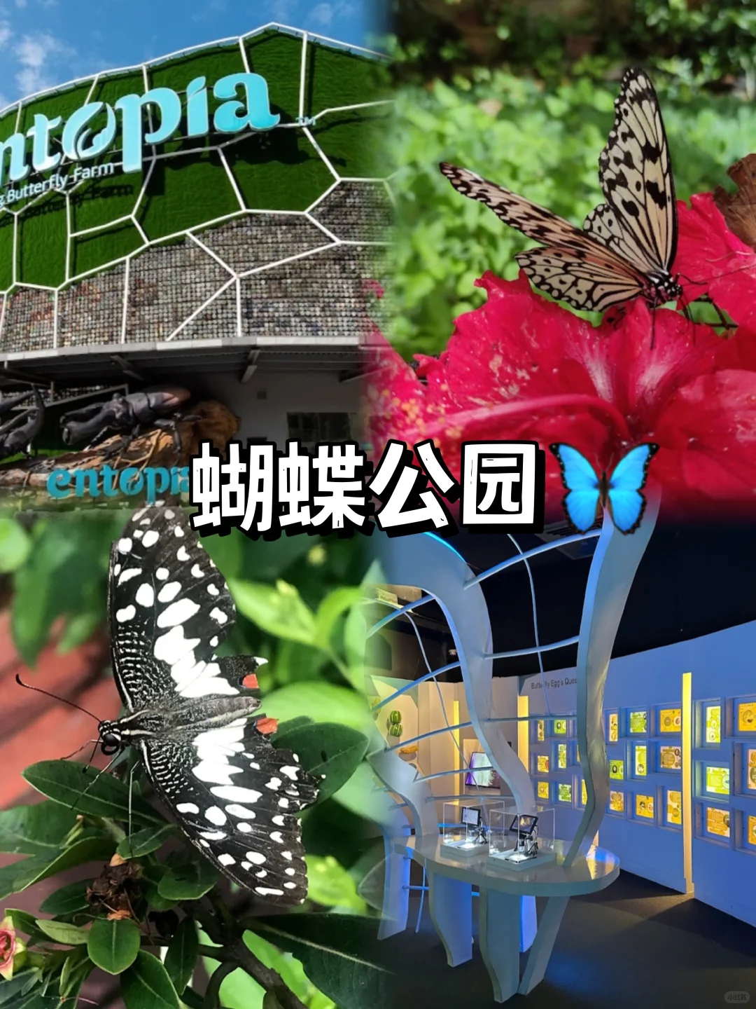 🇲🇾来槟城旅游一定要来这些景点打卡