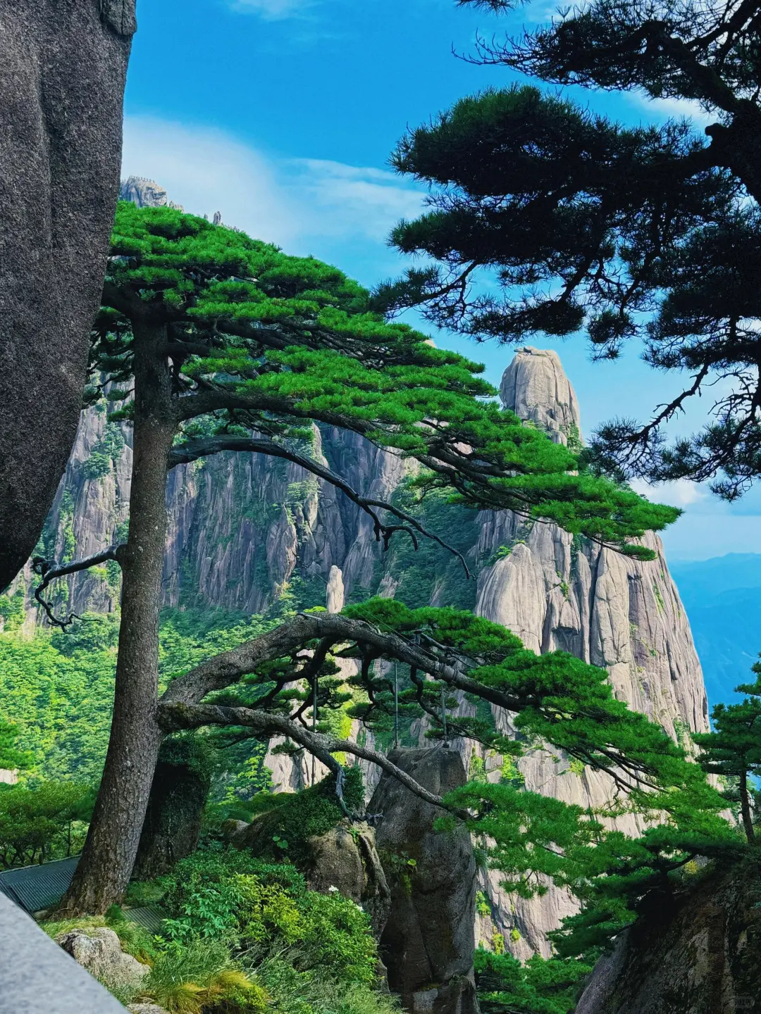 🎉刚从黄山回来,避雷秘籍大公开👇