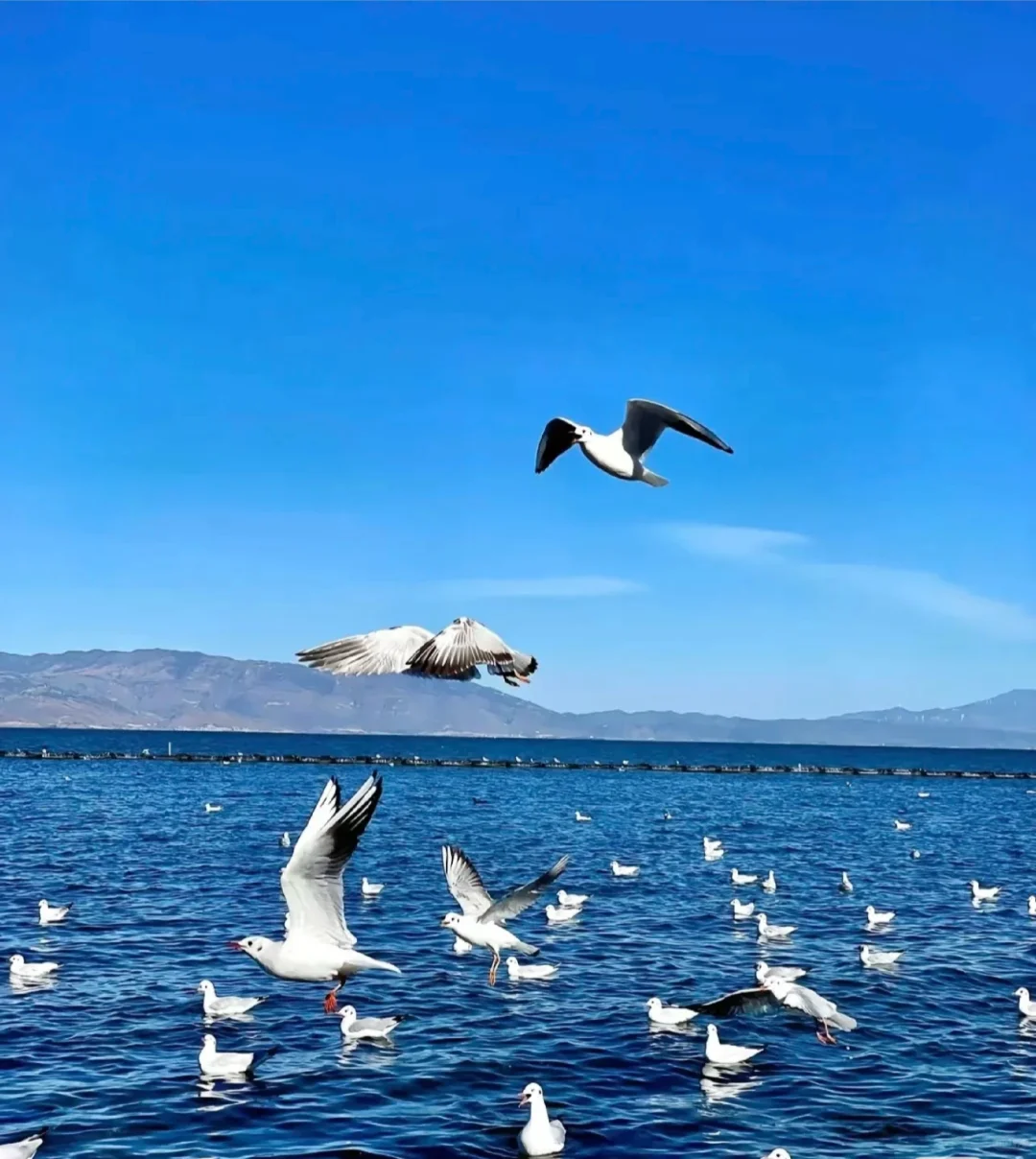 云南大理5天4晚旅游攻略