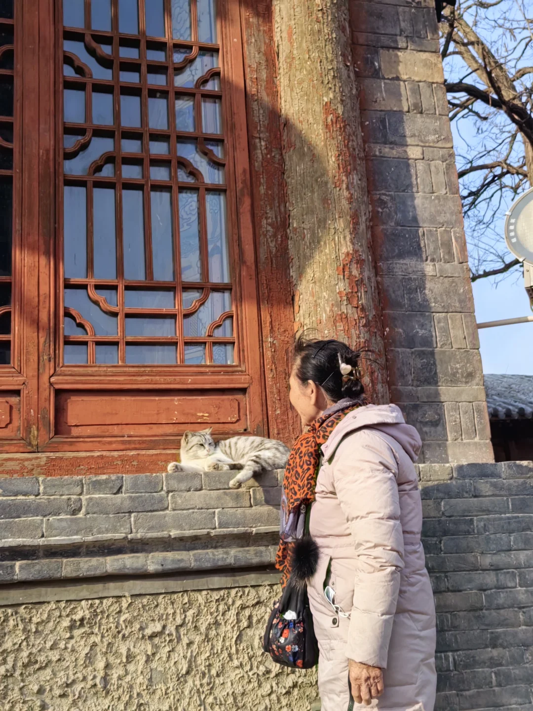 应县木塔等了我969年