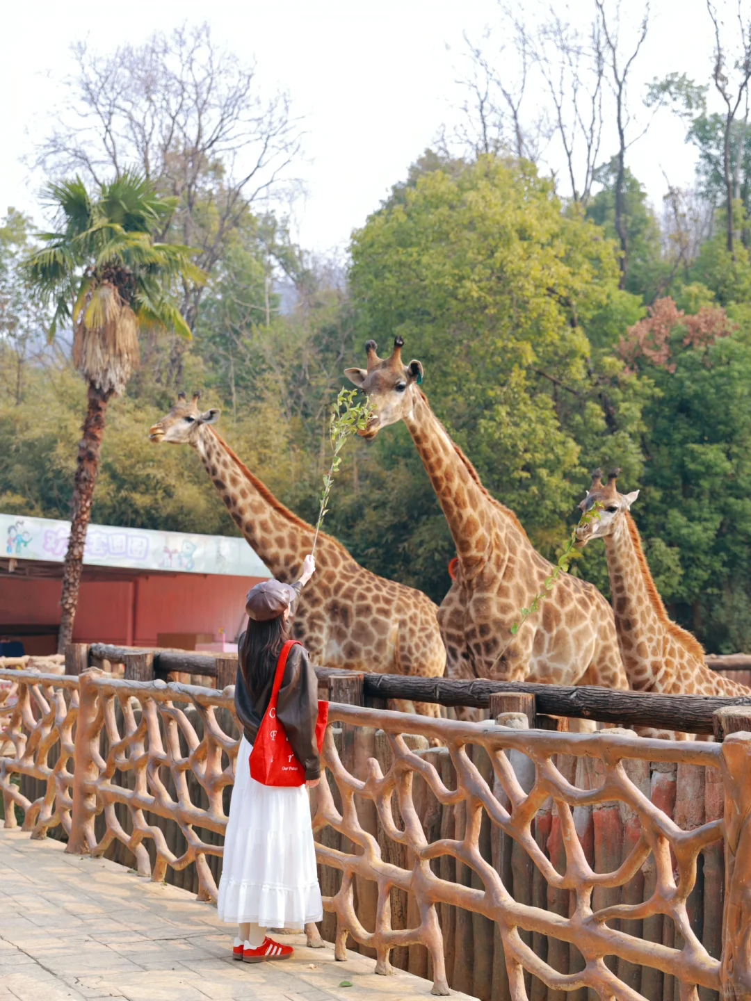 别怀疑！这些真的是武汉！一日游徒步路线㊙️