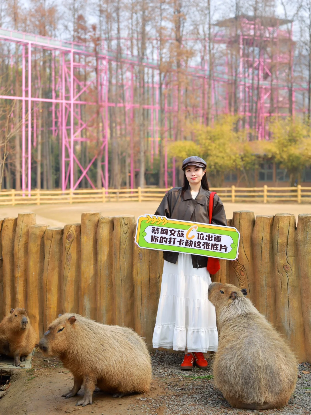 别怀疑！这些真的是武汉！一日游徒步路线㊙️