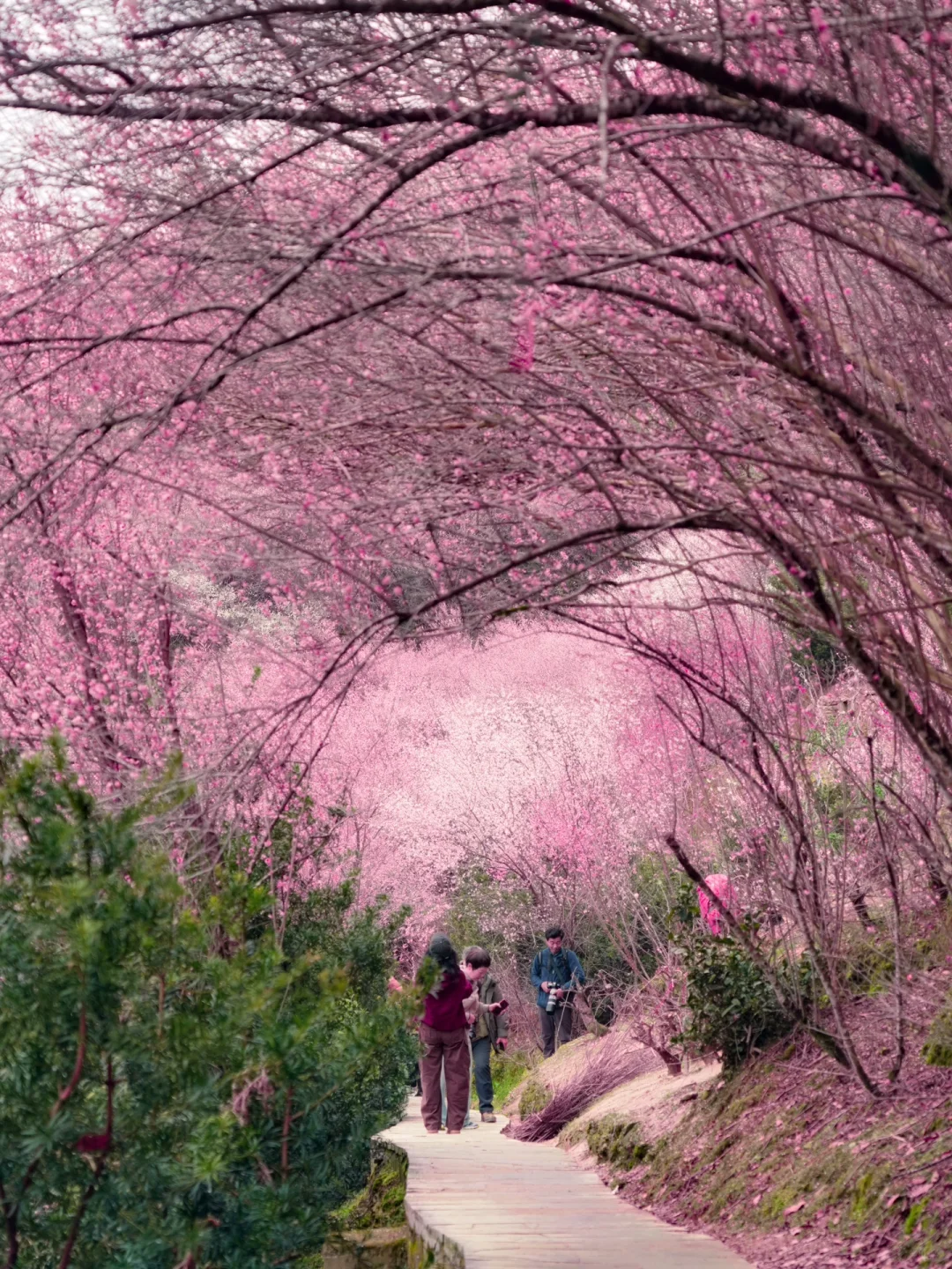 原来陶渊明笔下的《桃花源记》是真实存在的！！