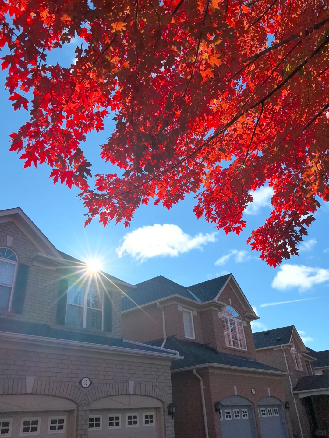 一刀横跳美加国界