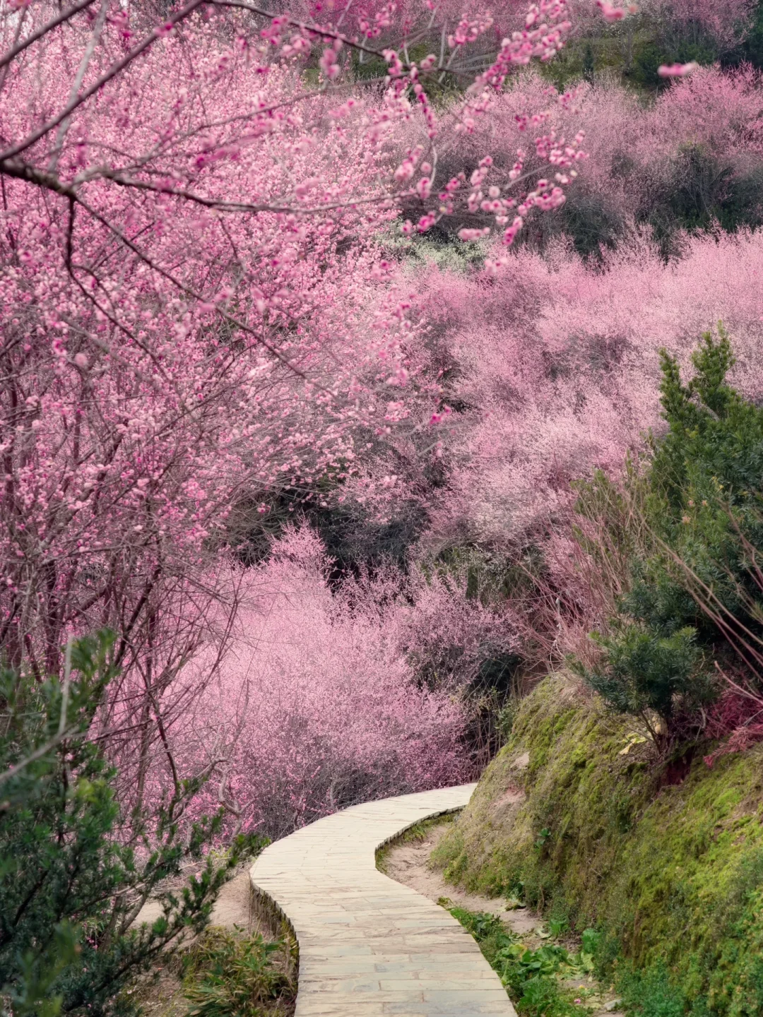 原来陶渊明笔下的《桃花源记》是真实存在的！！