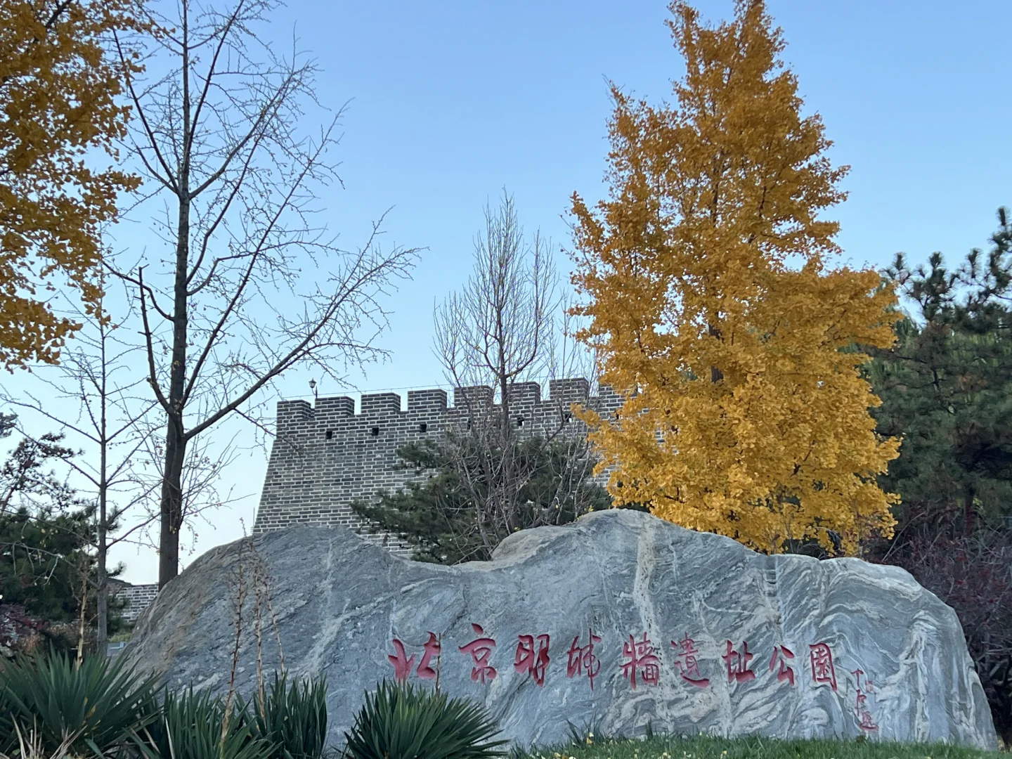 北京📍一个人也可以闲逛的好地方（14/99）