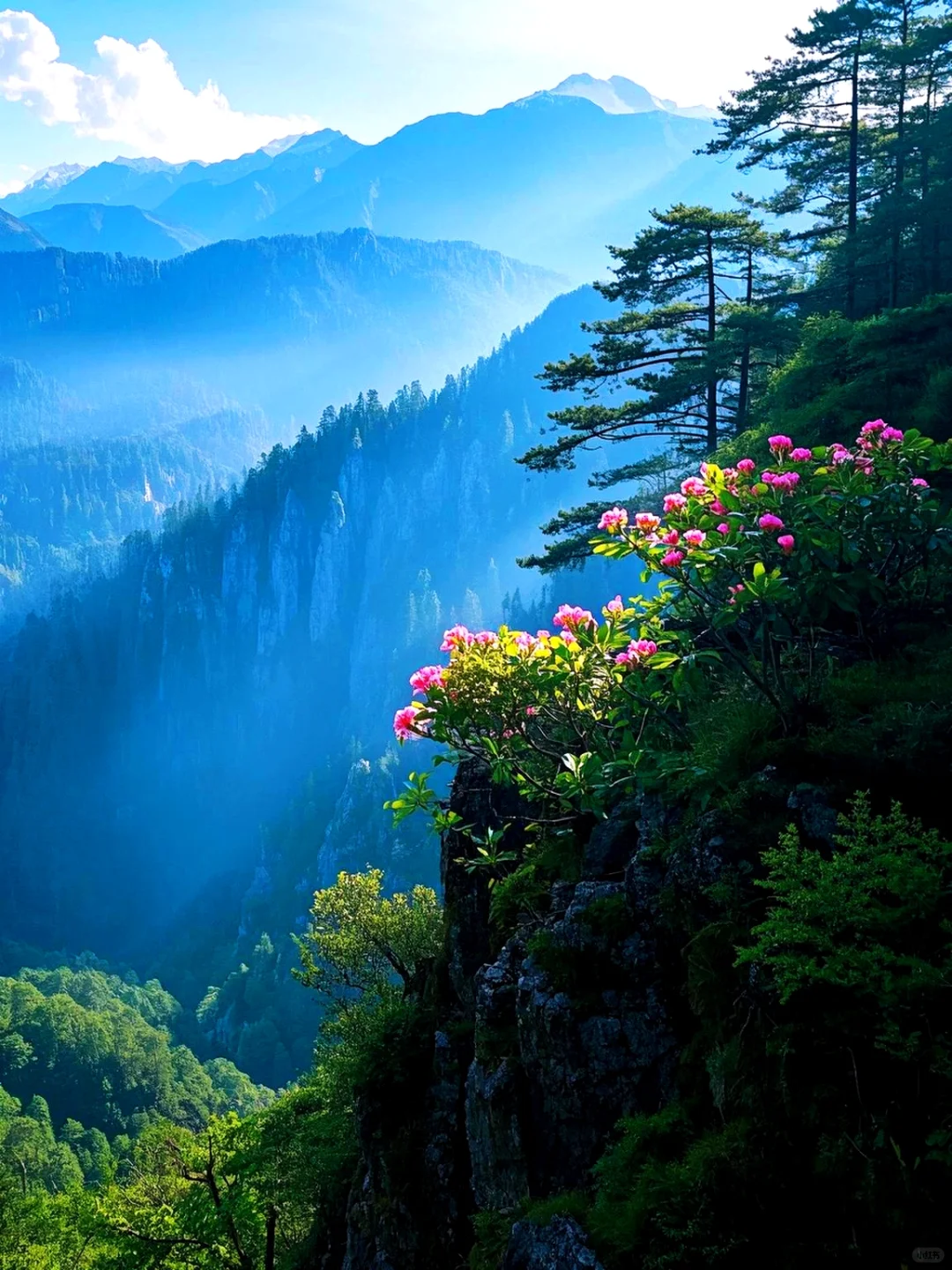 这个地方真的美到窒息❗️❗️❗️