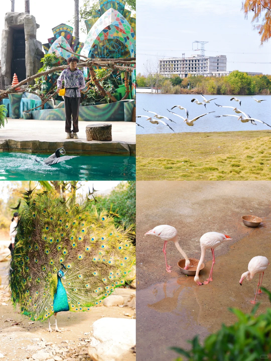 别怀疑！这些真的是武汉！一日游徒步路线㊙️