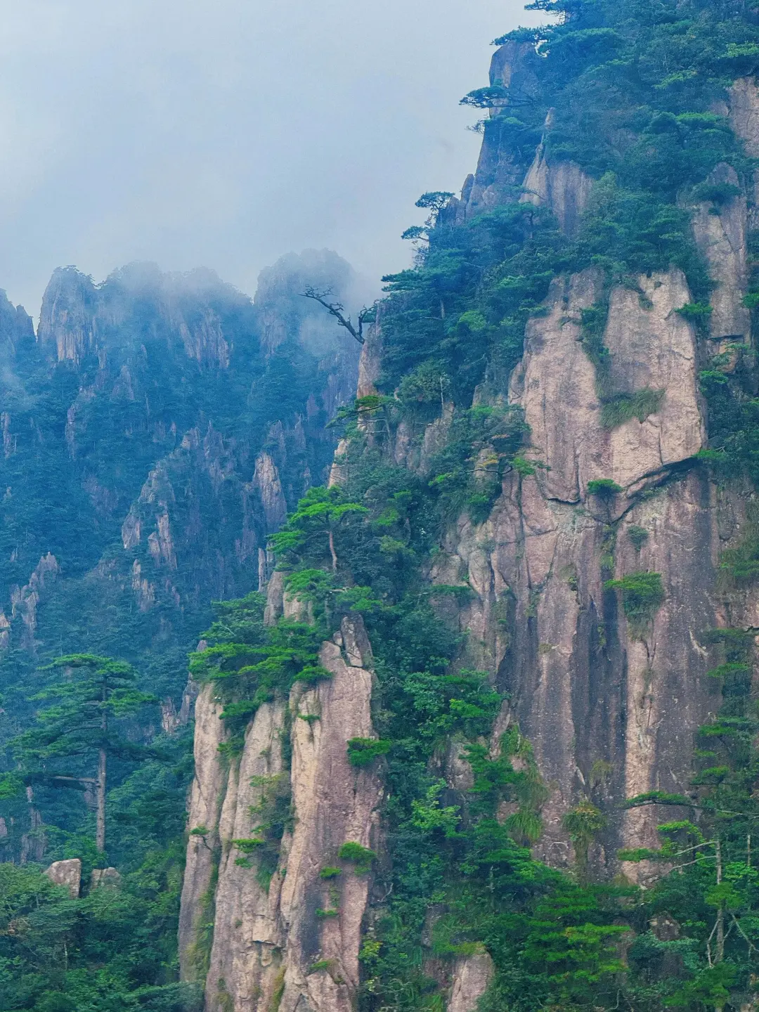 🎉刚从黄山回来,避雷秘籍大公开👇