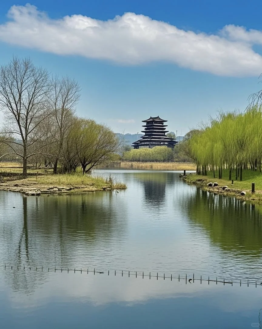 今天西流湖打卡游玩的人太多了，人山人海！