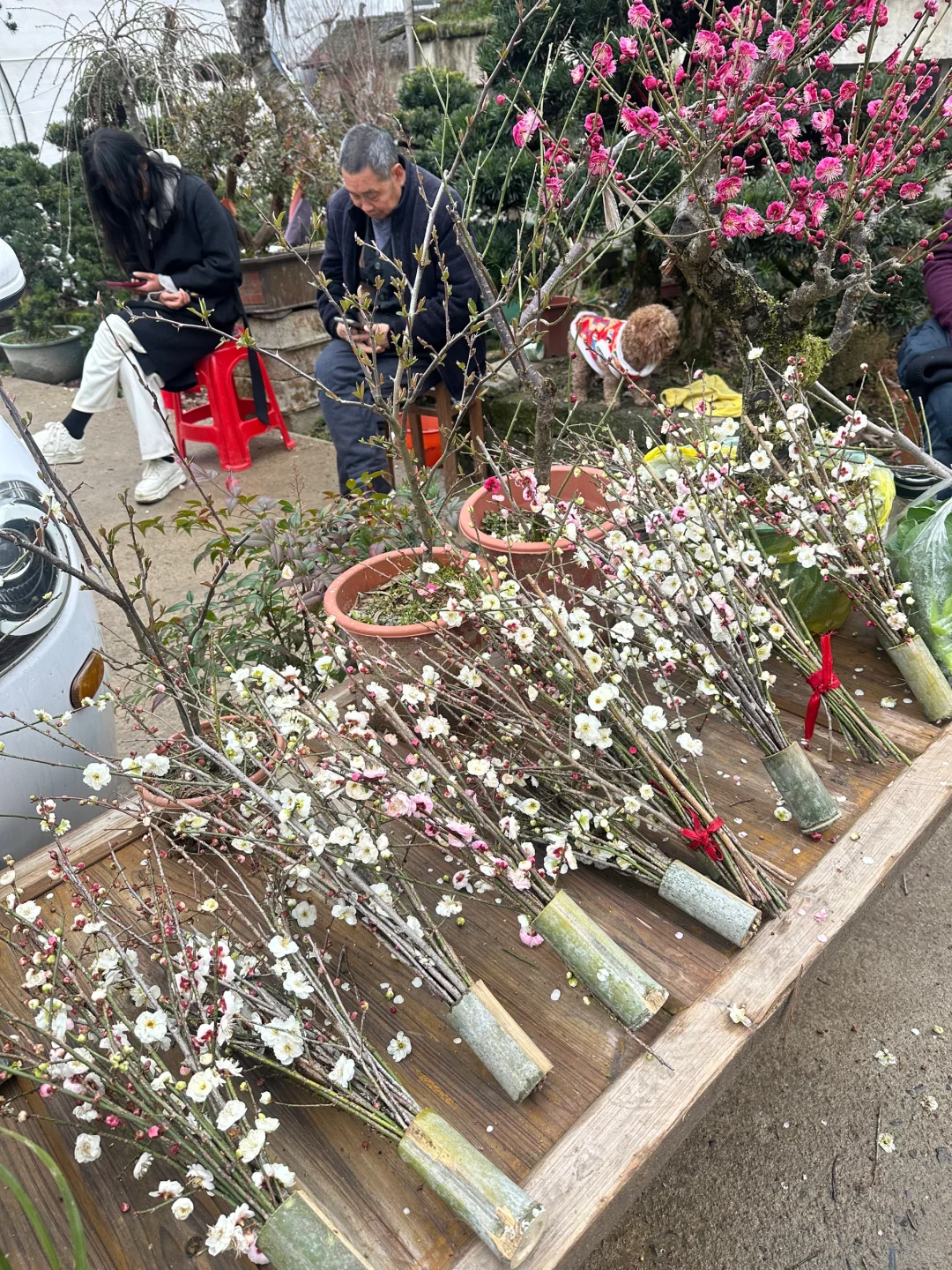 原来陶渊明笔下的《桃花源记》是真实存在的！！
