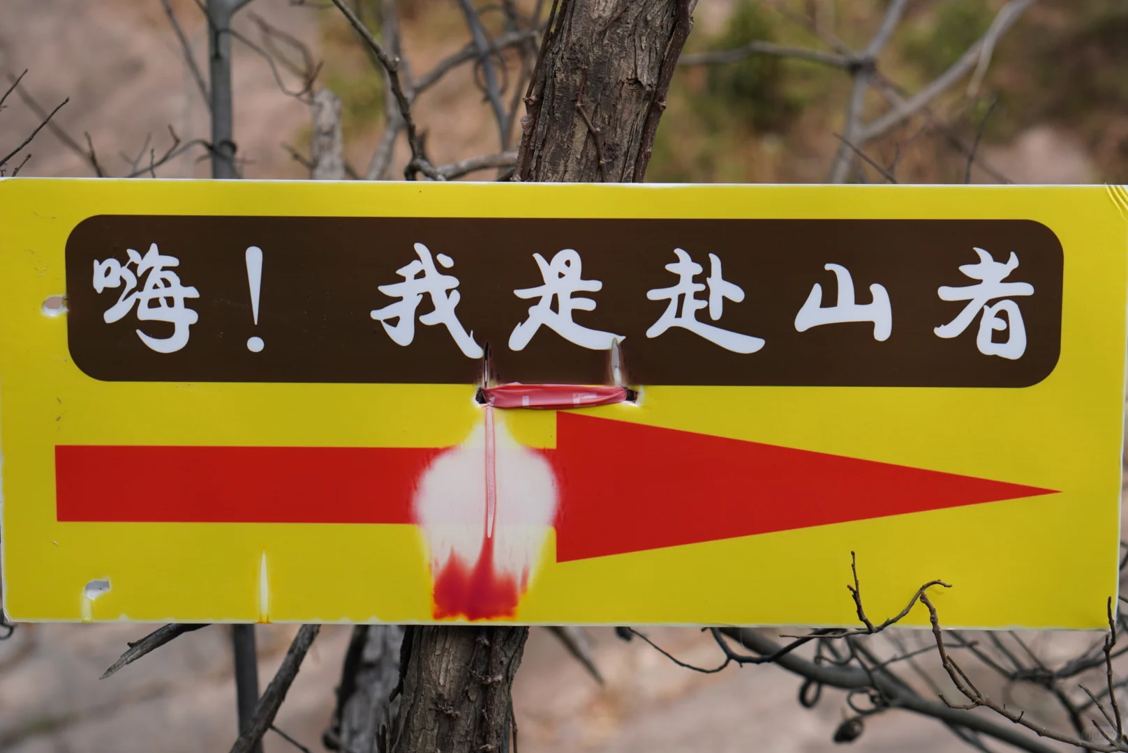 宁波慈溪山顶栲栳山VS山脚鹤鸣古镇