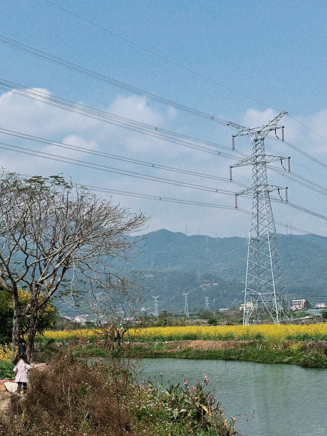 城市里的生态田园