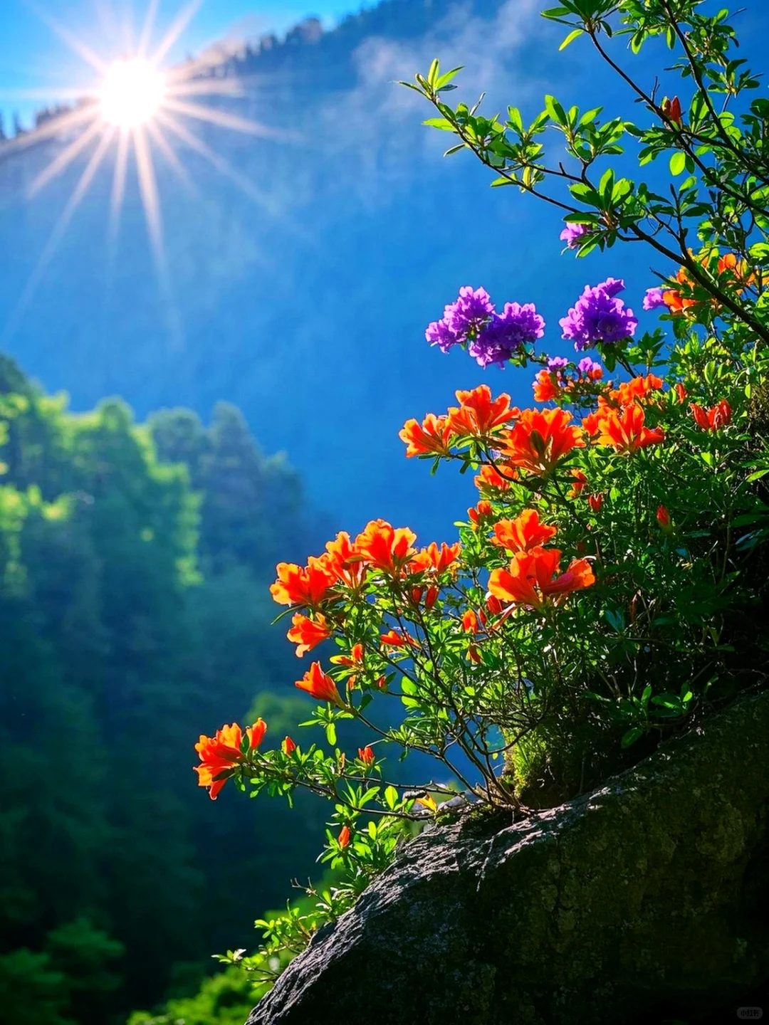 这个地方真的美到窒息❗️❗️❗️