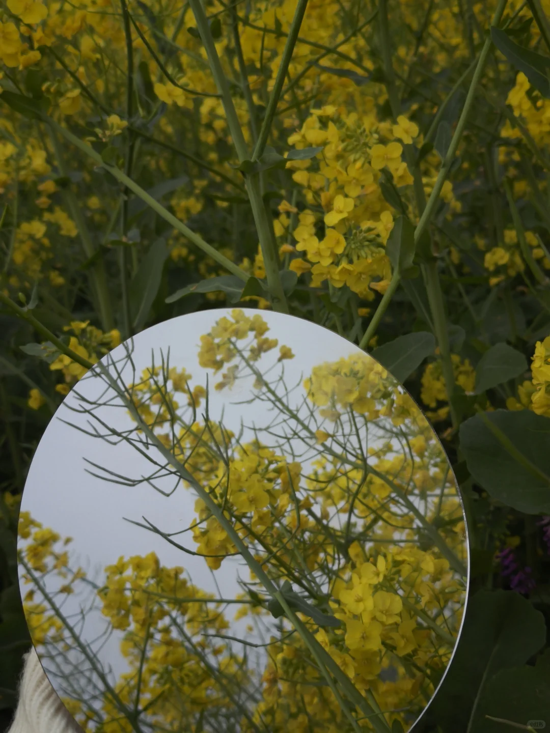 贵州自驾游🚗之万峰林