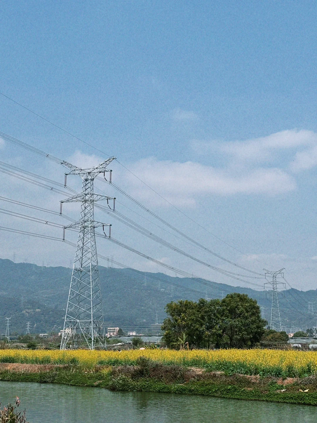城市里的生态田园
