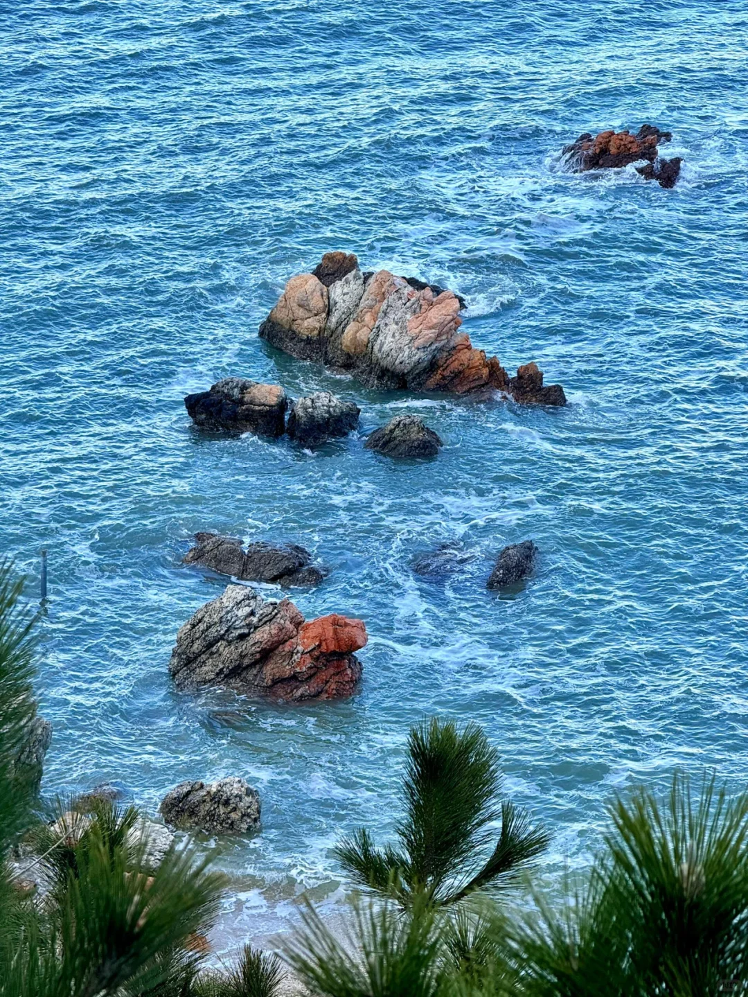 🌊 烟台养马岛 | 4月份一定要来！！！