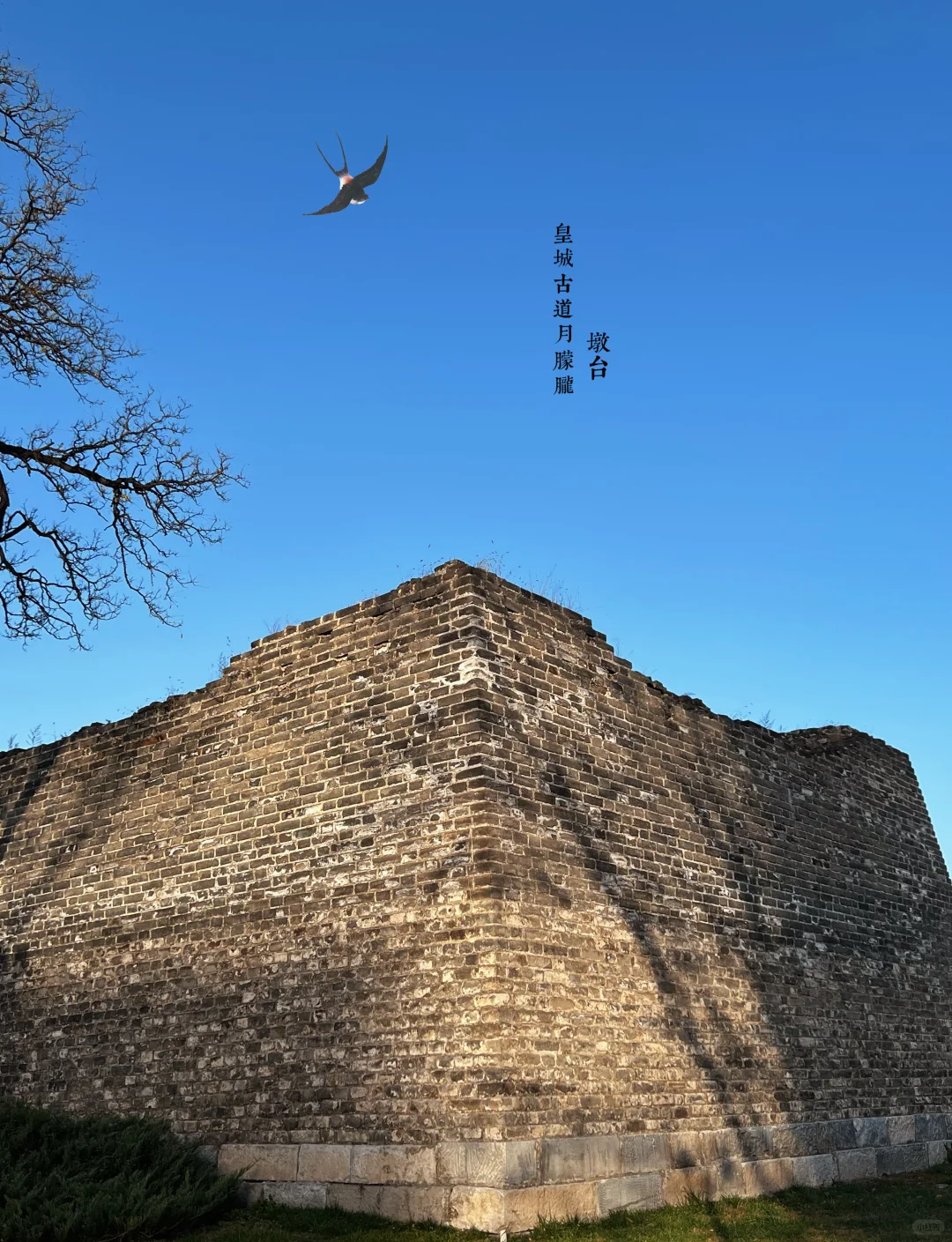 北京📍一个人也可以闲逛的好地方（14/99）