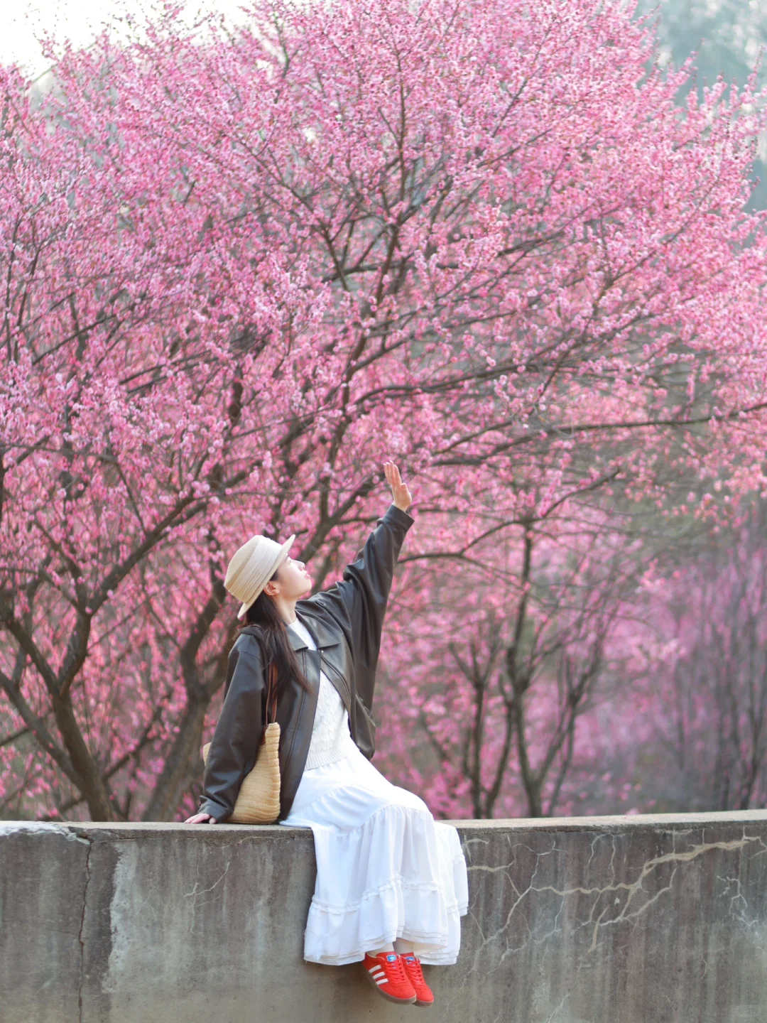 别怀疑！这些真的是武汉！一日游徒步路线㊙️