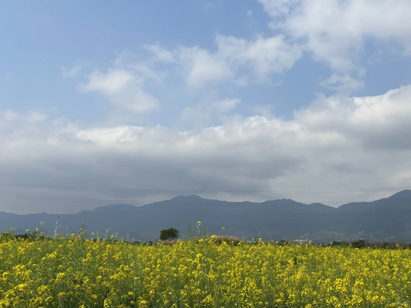 城市里的生态田园
