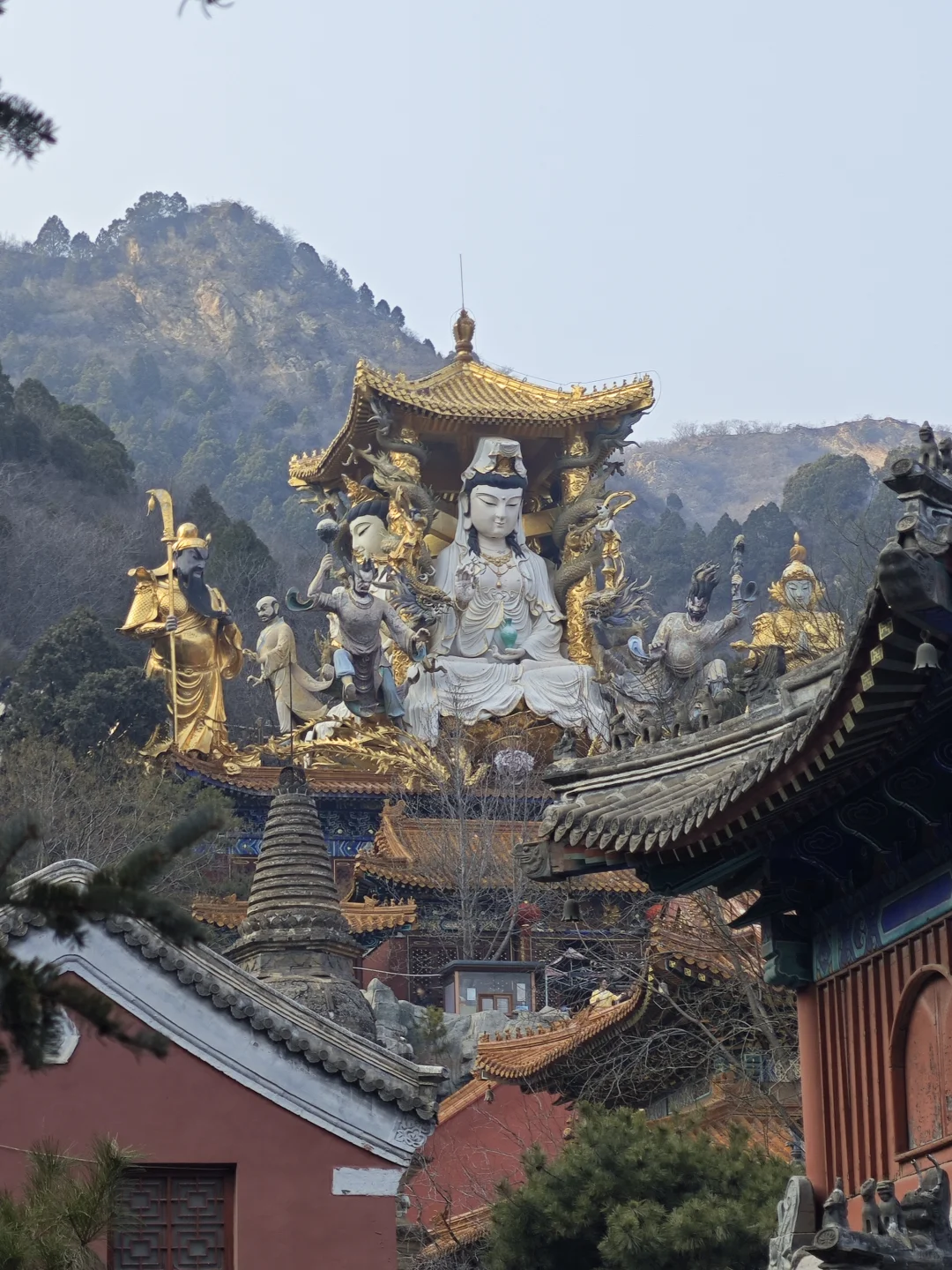 它们真的可以降妖除魔