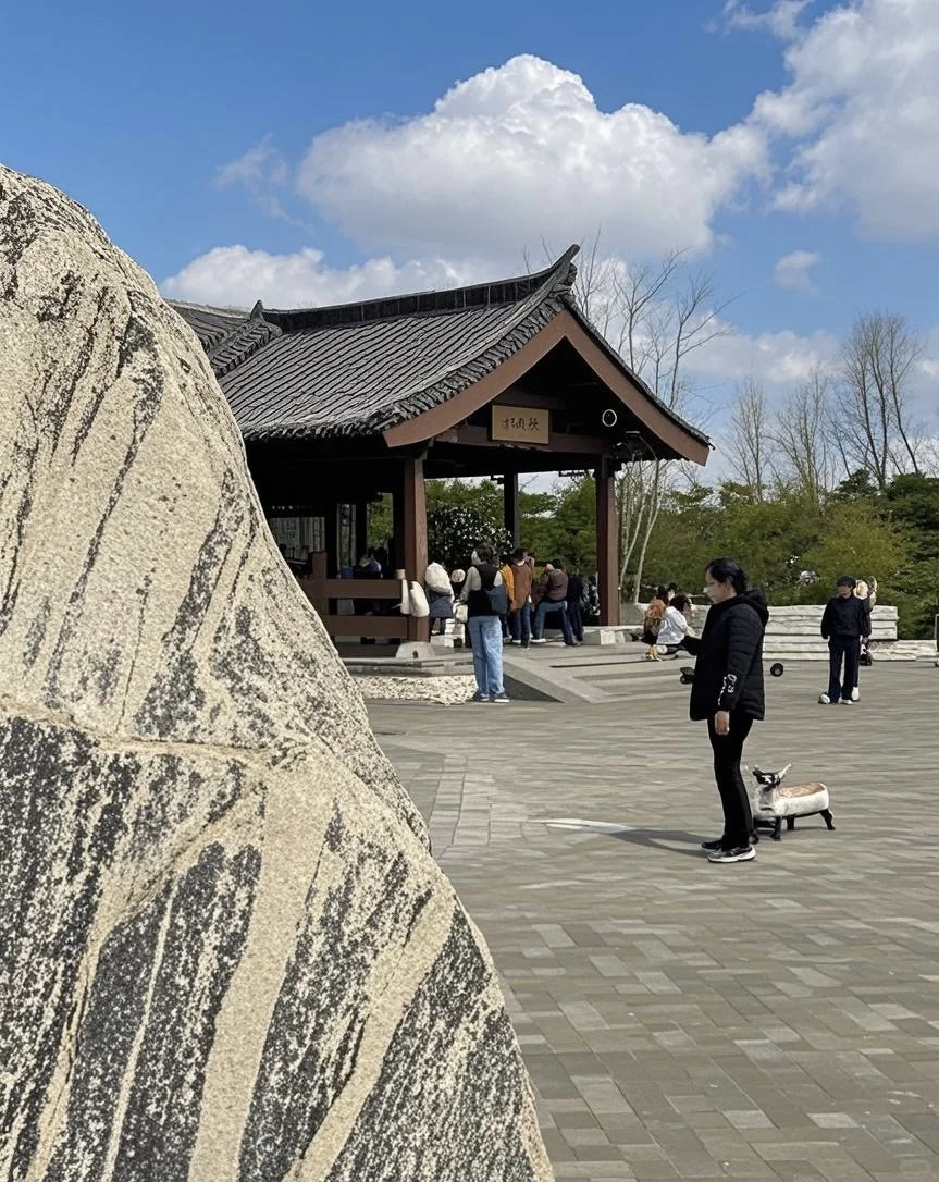 今天西流湖打卡游玩的人太多了，人山人海！